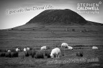 Slemish - John 10 v 28 - Scripture Text Wall Art